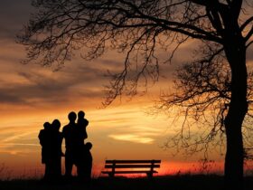 Supporto alla maternità