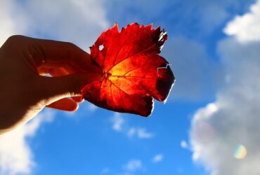 Coaching per il benessere mentale