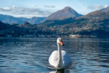 Come prevenire gli infortuni