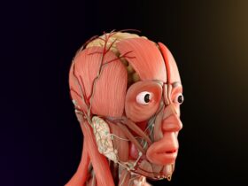 Osteopatia per il sistema nervoso