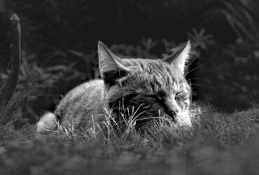 Importanza del riposo e recupero